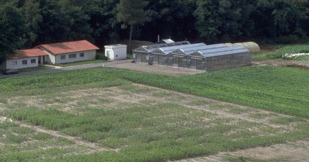 Construction of first R&D station in Haut-Mauco